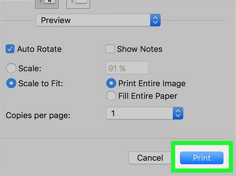 How to Print Pictures on Mac: A Journey Through Digital Creativity